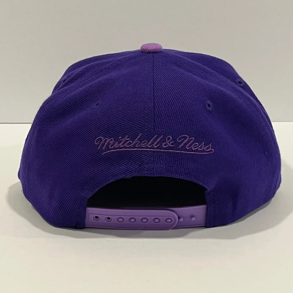 Vancouver Grizzlies HWC Mitchell & Ness PURPLE HAZE Snapback Hat